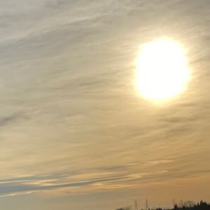 Meet your Posher, Jasjot